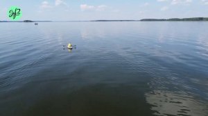 Сап туры Московская область - сплав на сапах Иваньковское водохранилище - сап Дубна