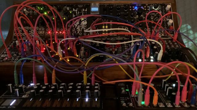 Plucked - 2021.05.23 смотреть онлайн