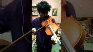 Paradise - Alan Walker, k-391, Boy in space  (violin improvisation)