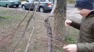 Постройка шалаша(Как построить шалаш)