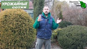 ВСЕГО 1 стакан раскроет ПОТЕНЦИАЛ тяжелой глинистой почвы! Сделайте так - и собирайте урожай!
