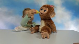 Обезьянка Fur Real Friends интерактивная игрушка распаковка Cuddles my Giggly Monkey unboxing