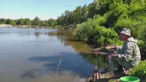 РЫБАЛКА НА ДОНКИ КРОКОДИЛЫ НА РЕКЕ СУРА. РЫБАЛКА НА ФИДЕР ДОНКИ. РЫБАЛКА 2024. РЫБОЛОВ В ДЕЛЕ.