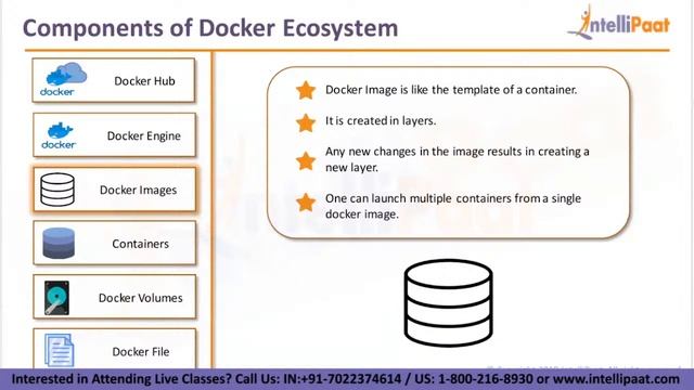What is Docker and How it Works | Docker Explained | Docker For Beginners | Intellipaat