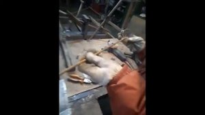 гвоздика из металла