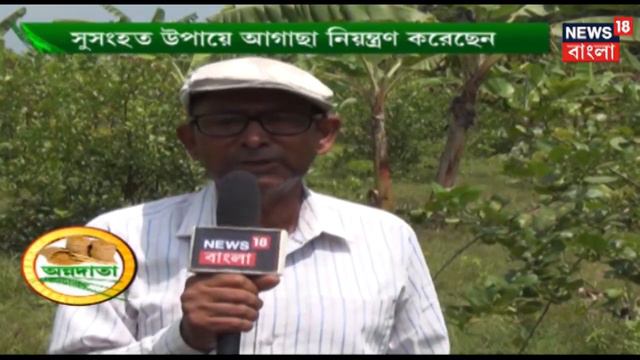 পশ্চিমবঙ্গের মাটিতে Orchid চাষের প্রযুক্তি নিয়ে বিশেষজ্ঞের পরামর্শ । অন্নদাতা смотреть онлайн