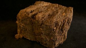 Нефть. Что это?