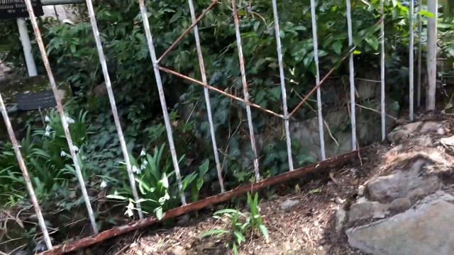 Первые цветы посеяны. (03.03.23) смотреть онлайн