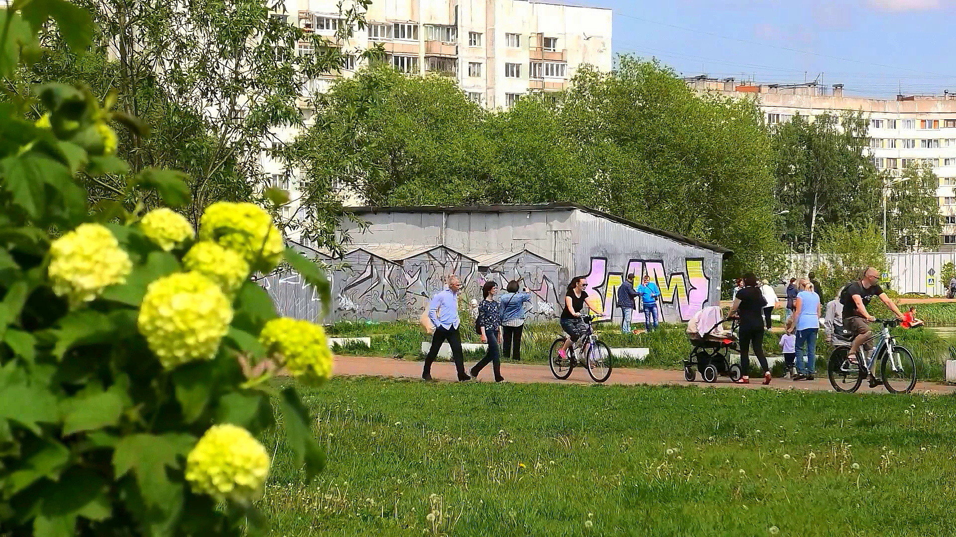 Все на прогулку!