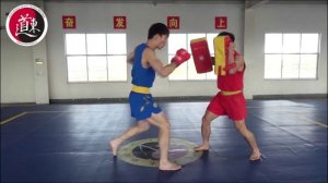 Базовая техника Ушу-саньда. Урок 19. Комбинации ударов руками и ногами.