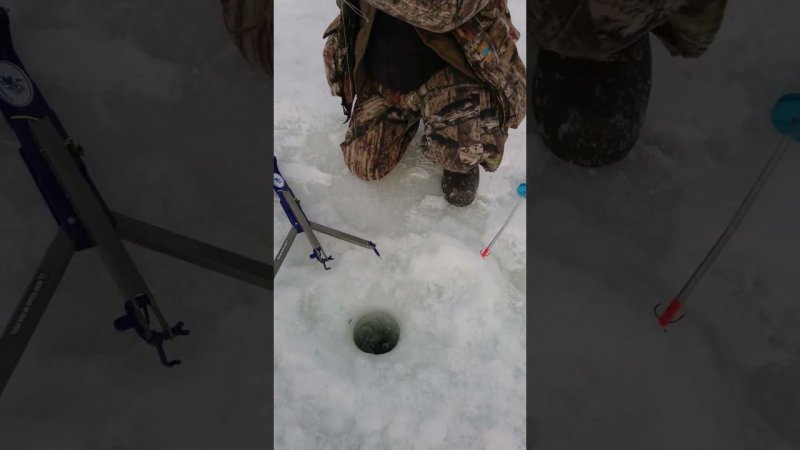 Jaw Jacker не оставляет шансов