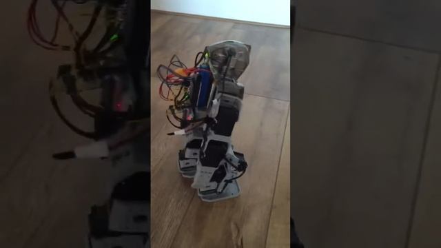 First walk attempt Humanoid Robot on a Raspberry PI Zero on Java