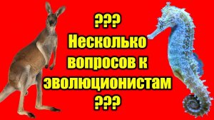 Несколько вопросов к эволюционистам (Момент Творения)