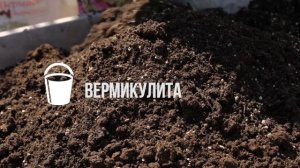 Как правильно подготовить грунт для посадки роз