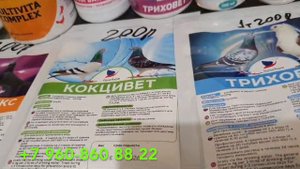 Лечение и профилактика голубей!