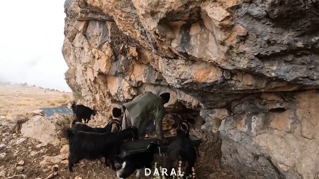 "Surprise Winter Rainstorm Transforms Amir Family's Cave Home" смотреть онлайн