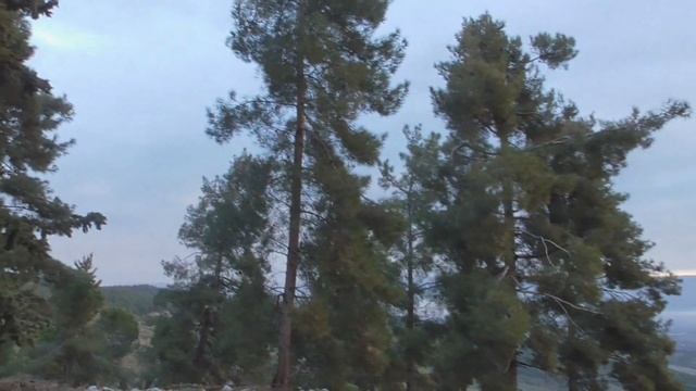 15.02.20.Я пригласила жизнь свою на чай...... смотреть онлайн