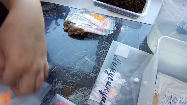 ?Проверка на всхожесть семян томатов.?2022? смотреть онлайн