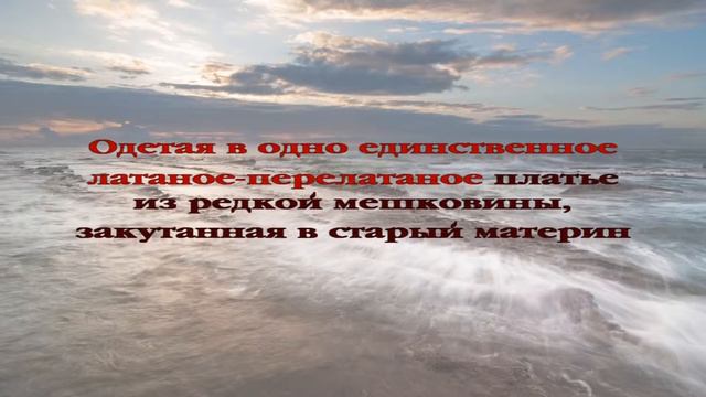 Овцы среди волков. Часть 8 смотреть онлайн
