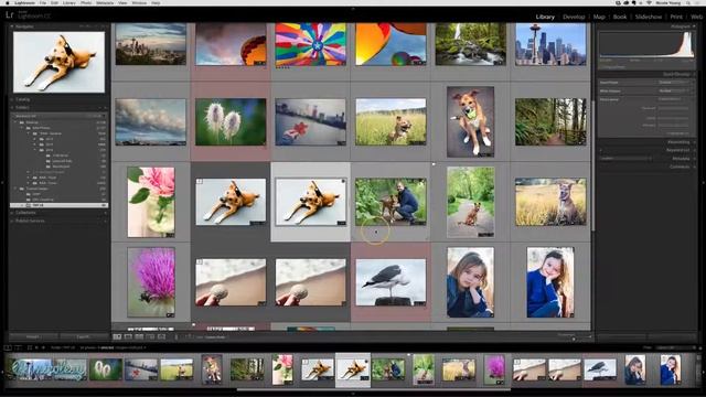 Integrating Lightroom Classic with plugins смотреть онлайн