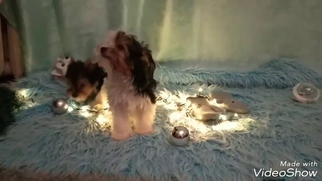 Биверы под новый год смотреть онлайн