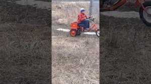 Детский трицикл на базе тримера.