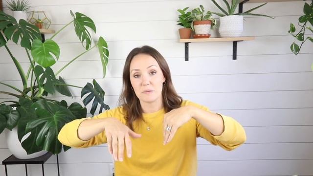 LED Grow Light Bulb | House Plant Light | How To Use Grow Lights With Indoor House Plants