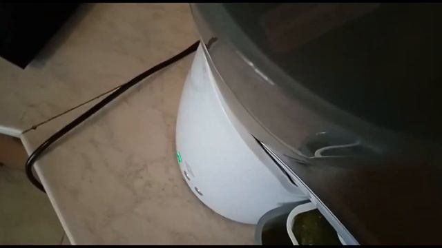 Отжим тыквенного масла часть 1