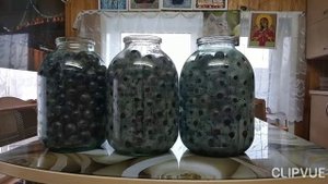 Компот из сливы.   Простой рецепт компота из сливы.