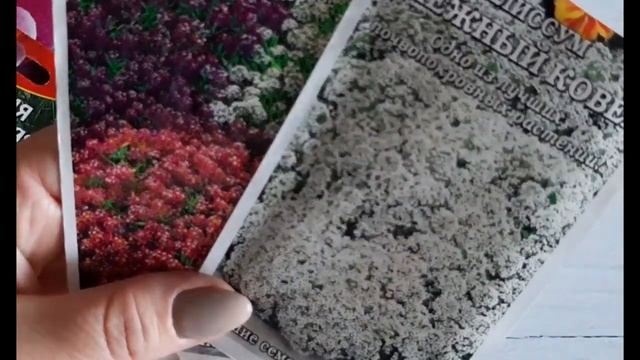 КАКИЕ ЦВЕТЫ буду СЕЯТЬ в 2022г. ПЕРЕСМАТРИВАЮ СЕМЕНА
