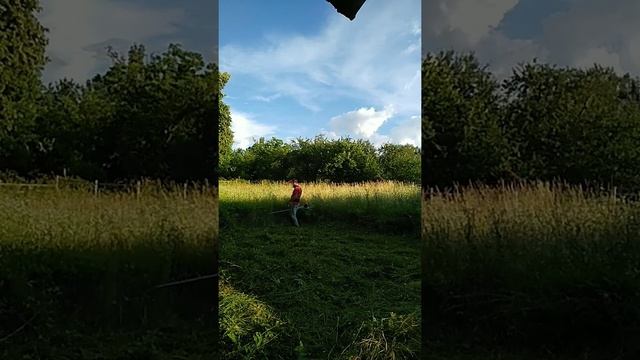 Stihl FS 350. Косіння великої трави в два підходи смотреть онлайн