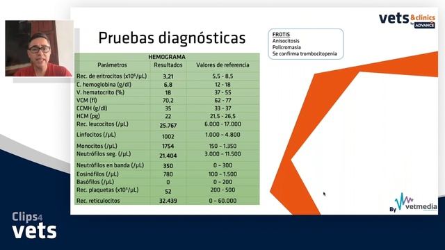 10. #Clips4Vets: Erliquisosis canina смотреть онлайн