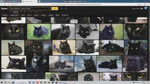 Как установить картинку с черным котиком на рабочий стол