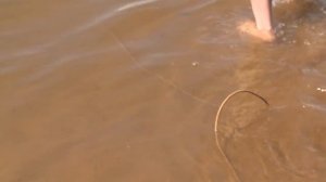 Чистка пляжа