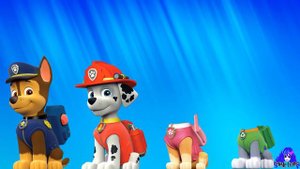 Wrong Heads Paw Patrol Chase Marshall Skye Rocky crying baby Celeste Corner