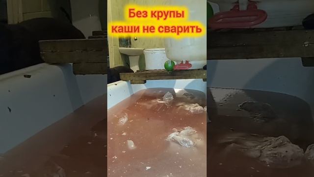 Пока что наши планы не выполнимы