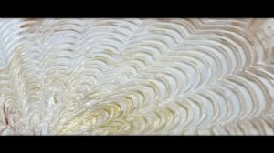 Варианты декора зубчатым шпателем