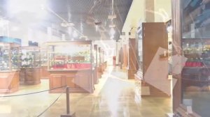 Оружейный магазин "ОХОТА" г. Ижевск