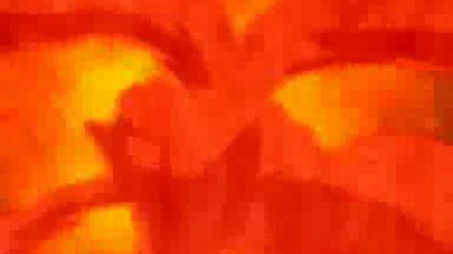 девятихвостый и все.flv смотреть онлайн