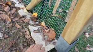 Обустройство небольшого курятника. Советы новичкам от новичка.