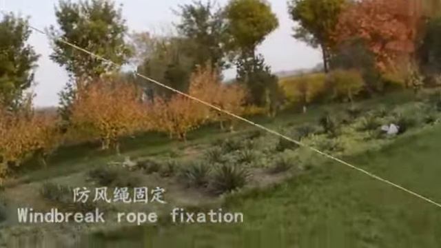 Шатер  TUOHAI (TRAVELTOP) 1929 смотреть онлайн