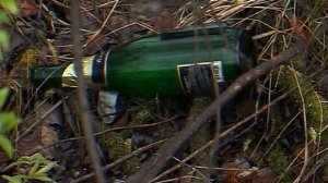 Салдинским молодожёнам подарили беседку