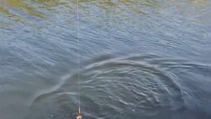 Рыболовная база ПОМАНЫ