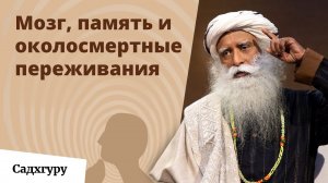 Революция в медицине через Йогу: Садхгуру в Гарвардской Школе Медицины