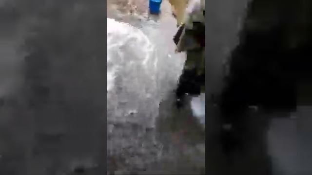 Извори край Шумен смотреть онлайн