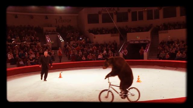 Ехали медведи на велосипеде