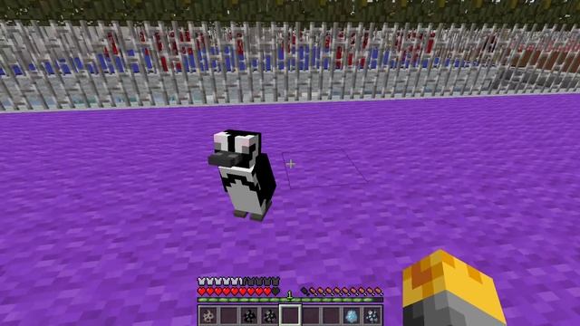 Minecraft PENGUIN MOD / BREED ALL TYPES OF PENGUINS AND PUT THEM IN YOUR ZOO!! Minecraft смотреть онлайн