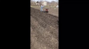 Гребни под батат мотоблоком