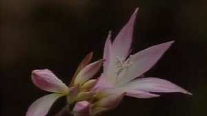 Путеводитель по Португалии по всему миру