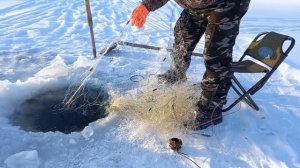 ?Бешеная щука рвет и мечет при проверке сетей???